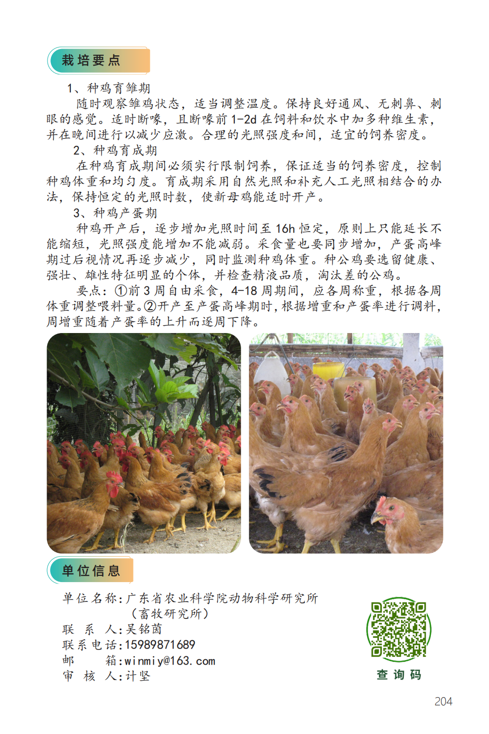 岭南黄鸡 II 号配套系-2.png