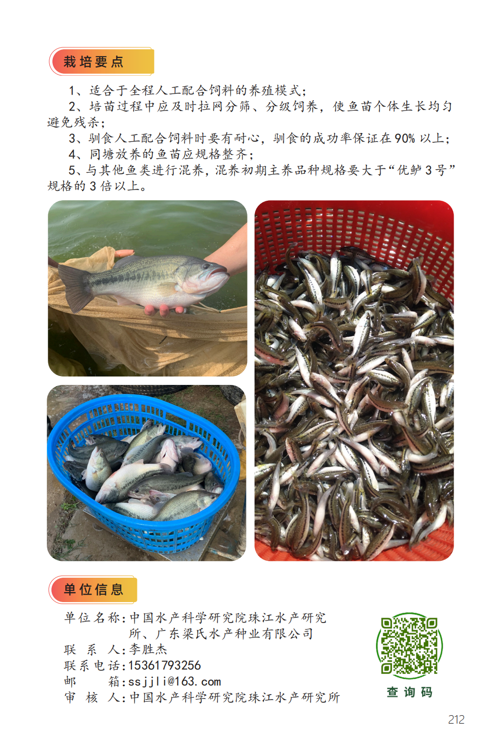 大口黑鲈“优鲈 3 号”-2.png