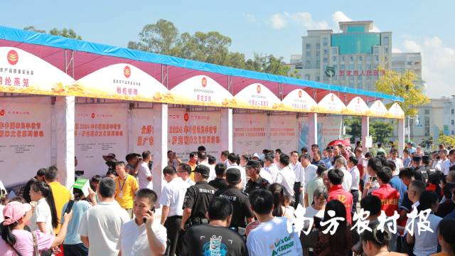 罗定”土特产“展位前人头攒动,罗定稻米、罗定鱼腐、罗定肉桂等地标产品受到市民游客热捧。 罗定”土特产“展位前人头攒动,罗定稻米、罗定鱼腐、罗定肉桂等地标产品受到市民游客热捧。