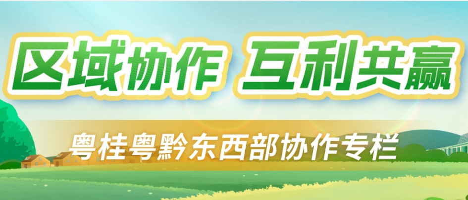 粤桂粤黔东西部协作专栏