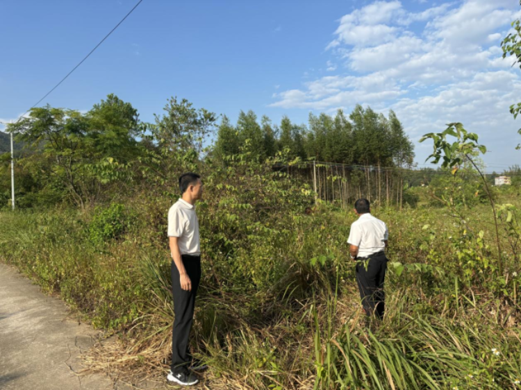 2024年10月,工作队到桐岗村30亩撂荒地实地察看情况。 2024年10月,工作队到桐岗村30亩撂荒地实地察看情况。