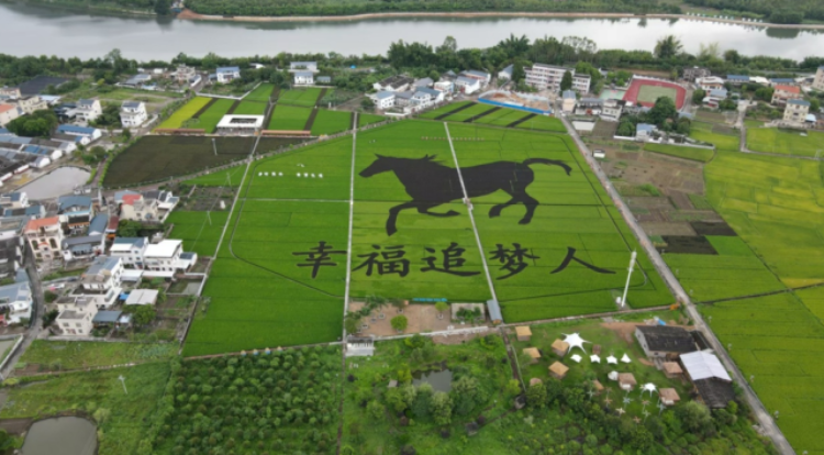 白马农业主题公园