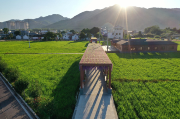 农耕文化和旅游成为白马村的新名片