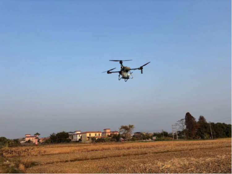 无人机飞播现场