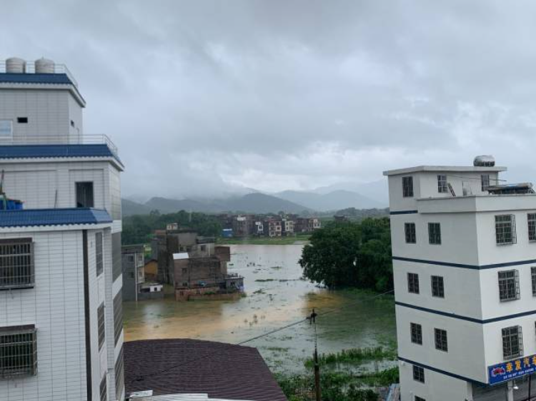 6月17日,洪水涌入中洲镇马岗村。