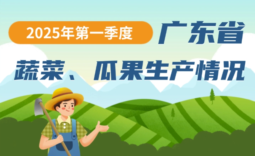2025年第一季度广东省蔬菜、瓜果生产情况