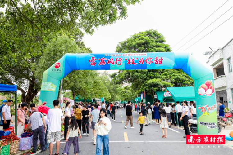 在驻汕头市潮南区雷岭镇帮镇扶村工作队的助力下，第十八届潮南·雷岭荔枝文化旅游季火热开展。  