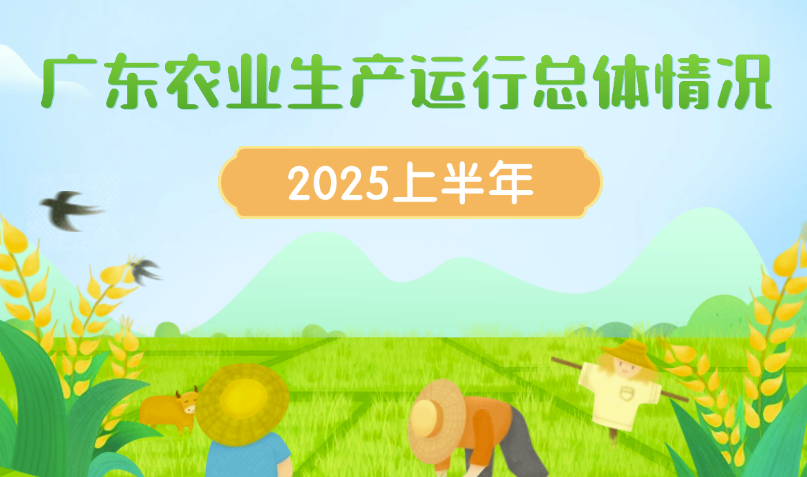 2025年上半年广东农业生产运行总体情况
