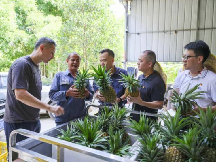 工作队队员工作日常。