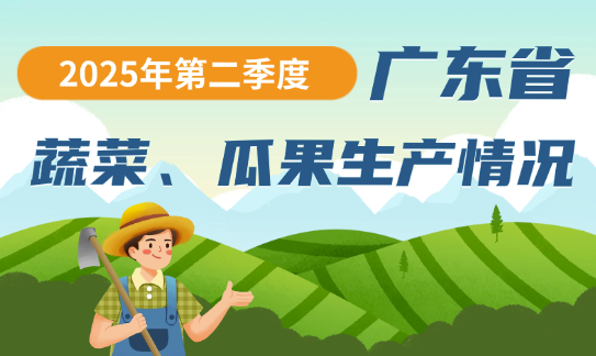 2025年第二季度广东省蔬菜、瓜果生产情况