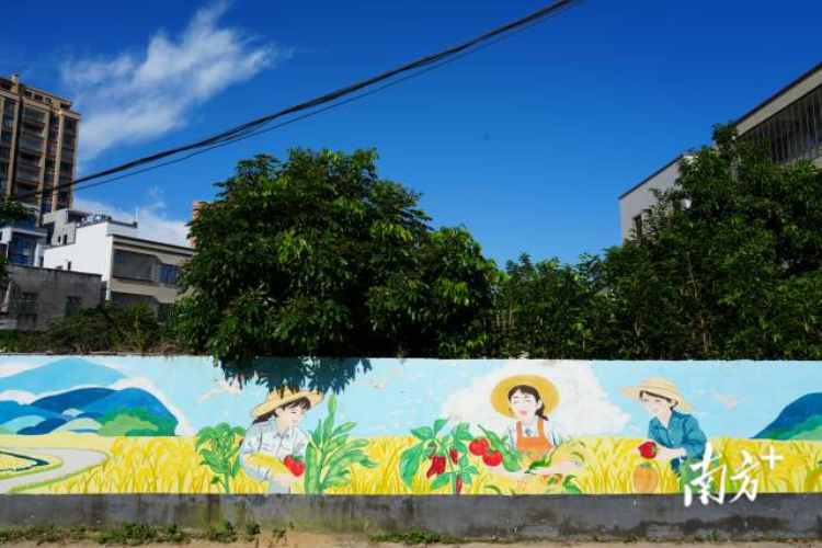 朴素的村墙变成了会“说话”的风景线,美化了人居环境。