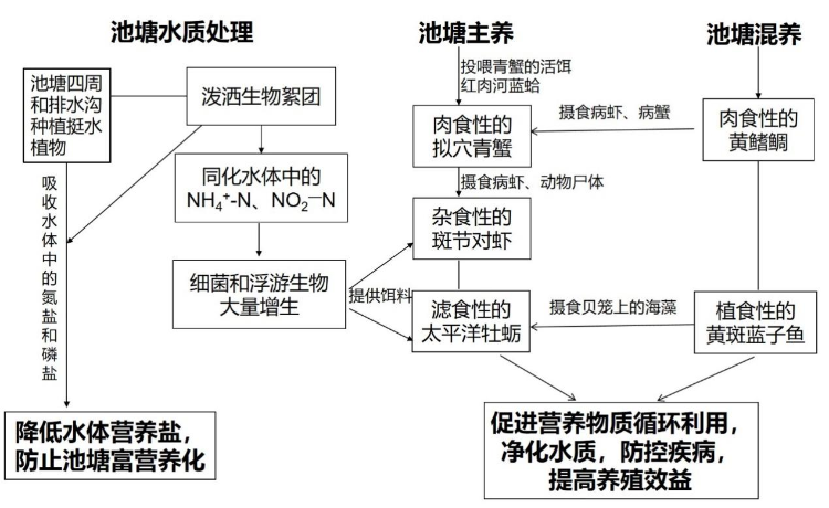海水鱼虾蟹贝综合养殖模式